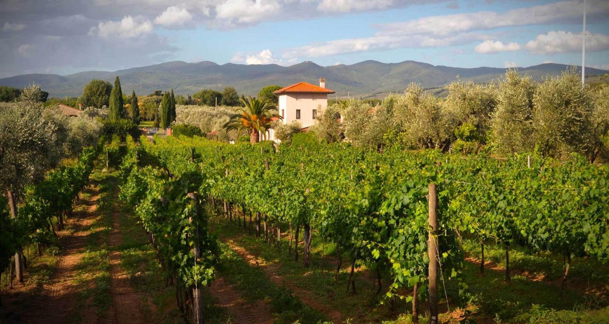 Vila La Cipriana Castagneto Carducci Exteriér fotografie