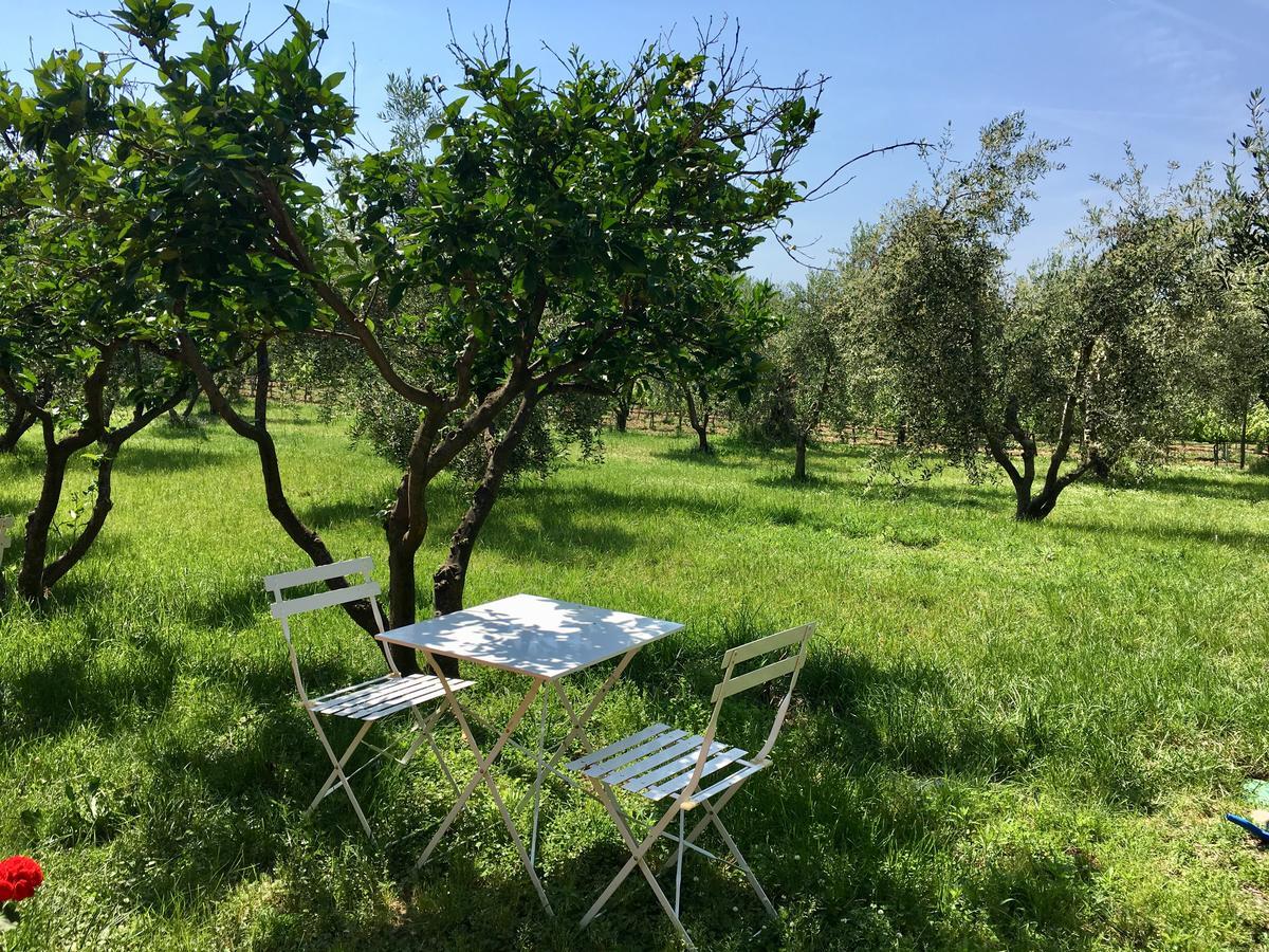 Vila La Cipriana Castagneto Carducci Exteriér fotografie